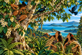 Pangahono | 120-Piece Jigsaw Puzzle